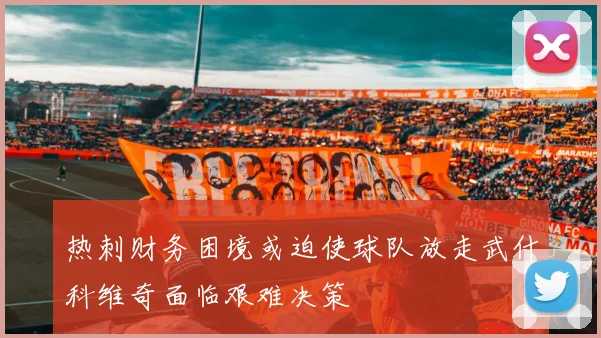 热刺财务困境或迫使球队放走武什科维奇面临艰难决策