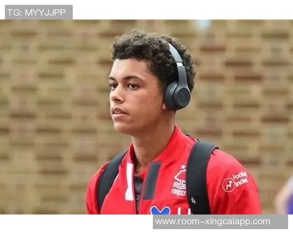 热刺前锋布伦南约翰逊以3350万镑转会水晶宫正式加盟